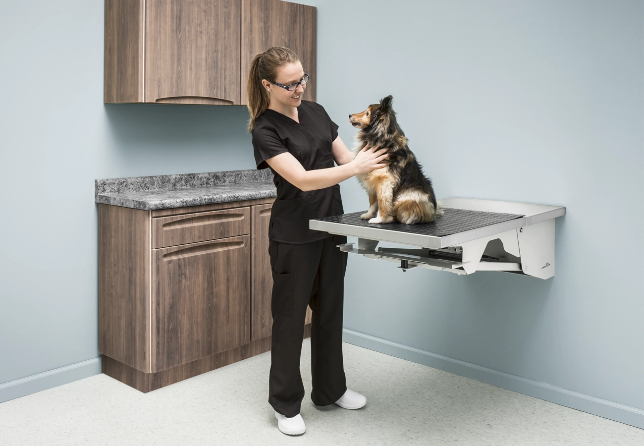 Midmark Fold-Down Wall-Mounted Exam Table