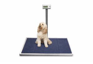 Midmark Veterinary Platform Scale