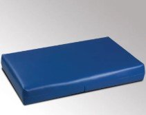 Clinton Industries Large Pillow 13x20x3
