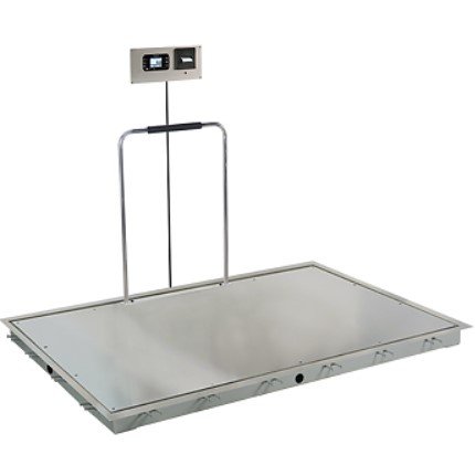 In-Floor Dialysis Scale, 72"x48" SS Deck, Hand Rail